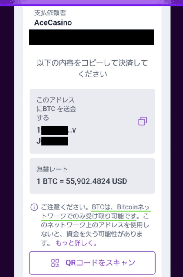 エースカジノ_入金