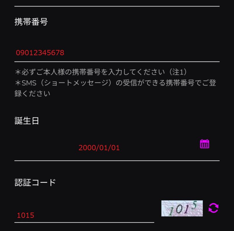 ワンダーカジノ_登録_携帯・生年月日・認証コード