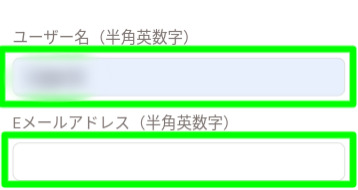 ビットカジノ_ユーザー名・メールアドレス入力