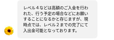 クイーンカジノ_チャットサポート_アカウント認証レベル４について