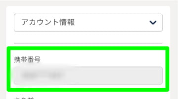 プレイワールドカジノ_アカウント情報_携帯番号