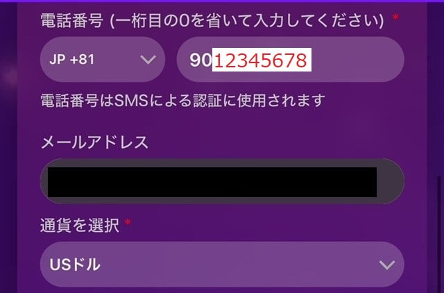 エースカジノ_新規登録_電話番号・メールアドレス